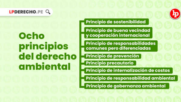 aspectos clave del derecho ambiental