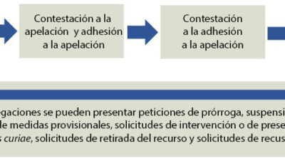 pasos hacia una apelacion penal exitosa