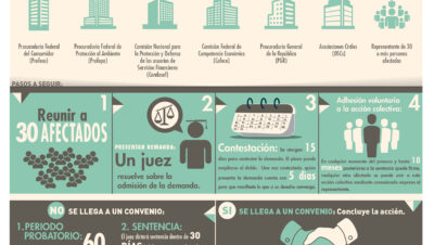 pasos para una demanda colectiva efectiva